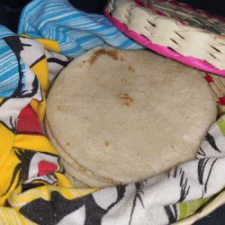 Tortillas de maíz en el tortillero