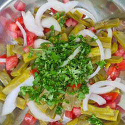 Ensalada de nopales receta vegetariana